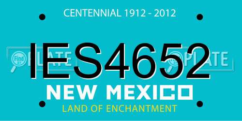 IES4652 New Mexico License Plate