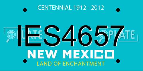IES4657 New Mexico License Plate
