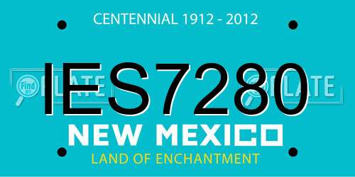 IES7280 New Mexico License Plate