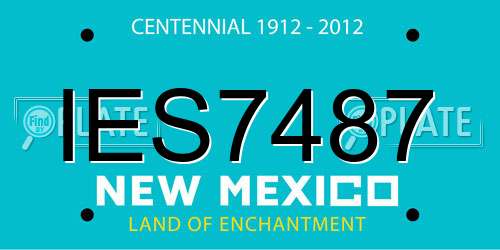 IES7487 New Mexico License Plate