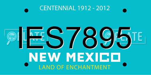IES7895 New Mexico License Plate