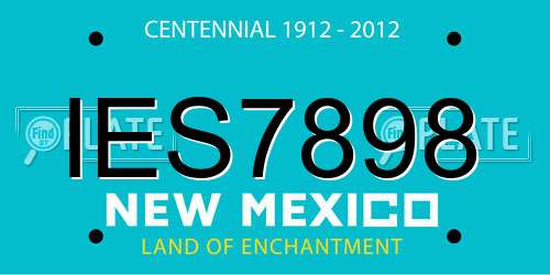 IES7898 New Mexico License Plate
