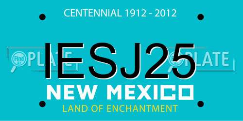 IESJ25 New Mexico License Plate