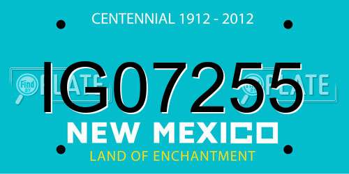 IG07255 New Mexico License Plate