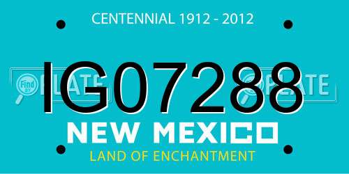 IG07288 New Mexico License Plate