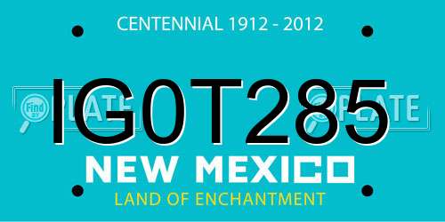 IG0T285 New Mexico License Plate