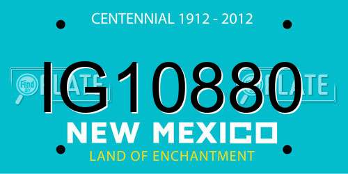 IG10880 New Mexico License Plate