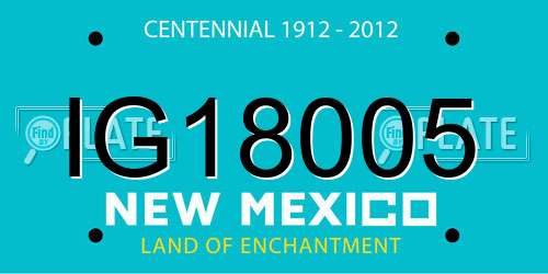 IG18005 New Mexico License Plate