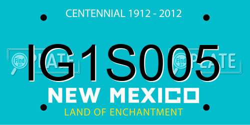 IG1S005 New Mexico License Plate