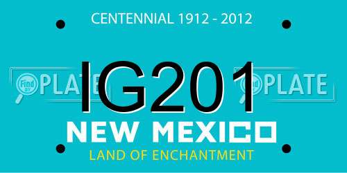 IG201 New Mexico License Plate