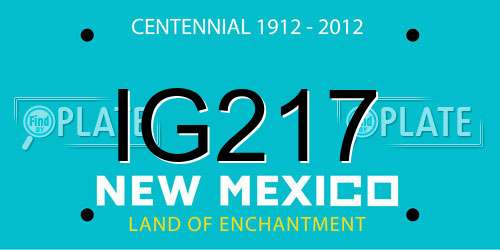 IG217 New Mexico License Plate