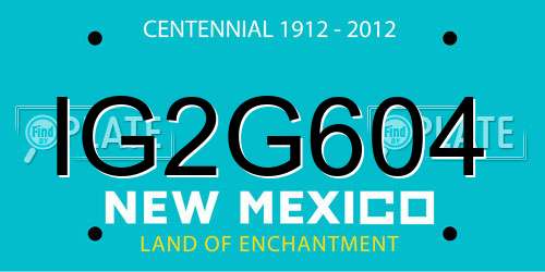 IG2G604 New Mexico License Plate