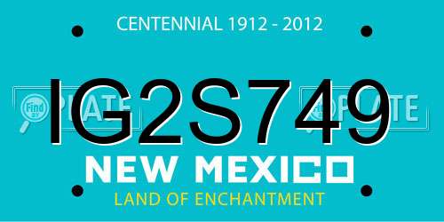 IG2S749 New Mexico License Plate
