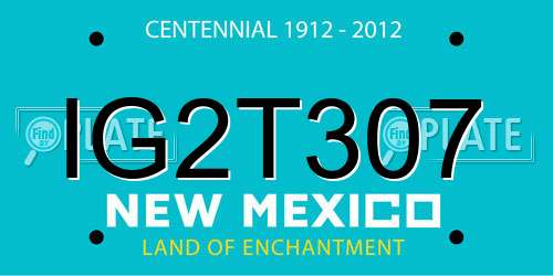 IG2T307 New Mexico License Plate