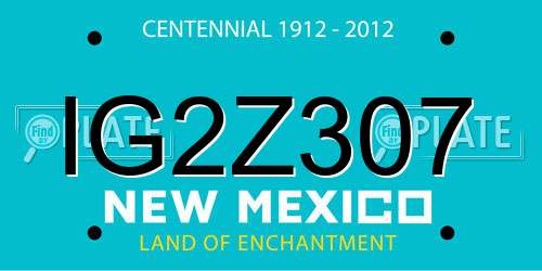 IG2Z307 New Mexico License Plate