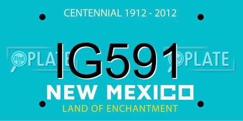 IG591 New Mexico License Plate