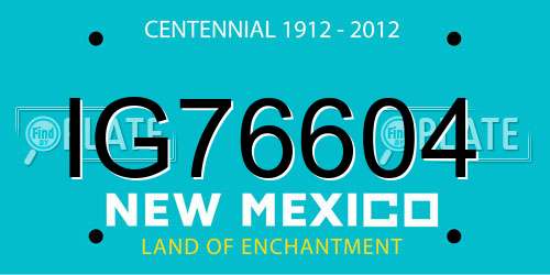 IG76604 New Mexico License Plate