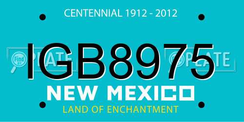 IGB8975 New Mexico License Plate