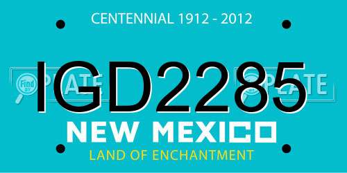 IGD2285 New Mexico License Plate