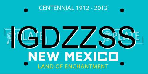 IGDZZSS New Mexico License Plate