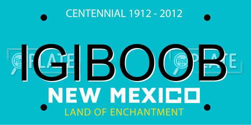 IGIBOOB New Mexico License Plate
