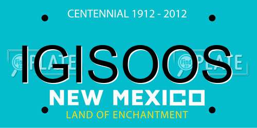 IGISOOS New Mexico License Plate