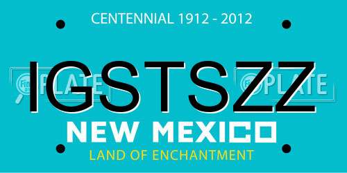 IGSTSZZ New Mexico License Plate