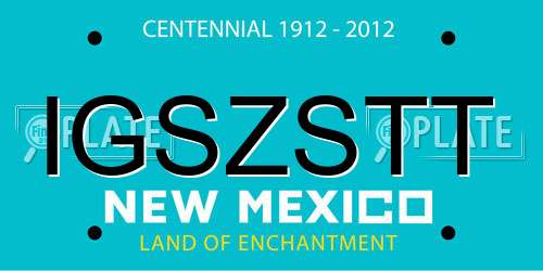 IGSZSTT New Mexico License Plate