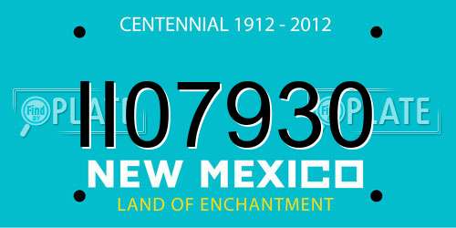 II07930 New Mexico License Plate