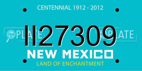II27309 New Mexico License Plate