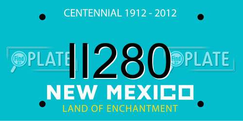 II280 New Mexico License Plate