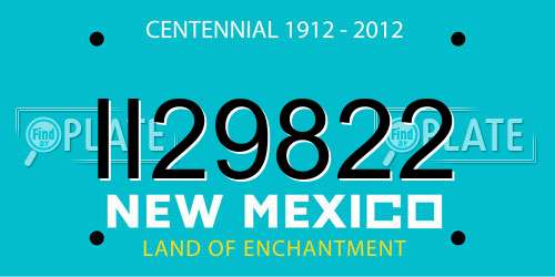 II29822 New Mexico License Plate