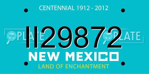II29872 New Mexico License Plate
