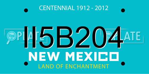 II5B204 New Mexico License Plate