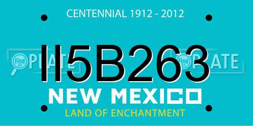 II5B263 New Mexico License Plate