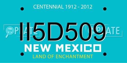 II5D509 New Mexico License Plate