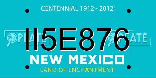II5E876 New Mexico License Plate