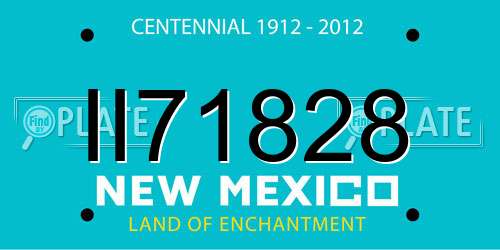 II71828 New Mexico License Plate