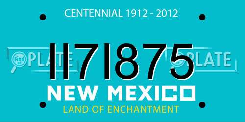 II7I875 New Mexico License Plate