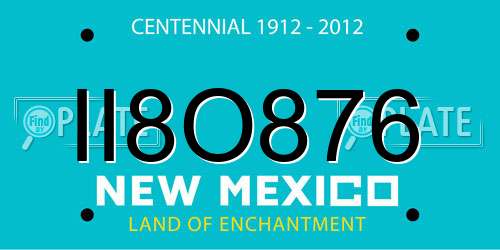 II8O876 New Mexico License Plate