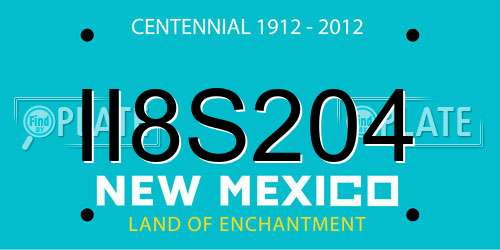 II8S204 New Mexico License Plate