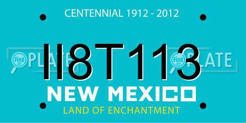 II8T113 New Mexico License Plate