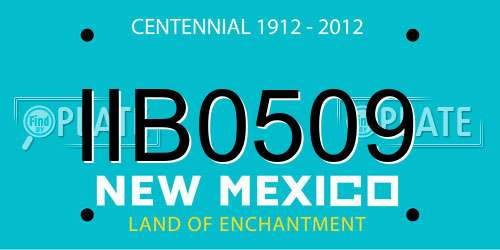 IIB0509 New Mexico License Plate