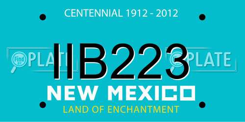 IIB223 New Mexico License Plate