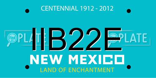 IIB22E New Mexico License Plate