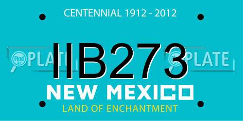 IIB273 New Mexico License Plate