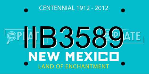 IIB3589 New Mexico License Plate