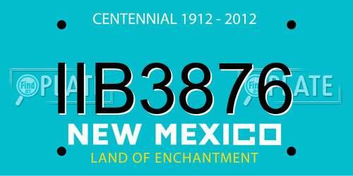 IIB3876 New Mexico License Plate