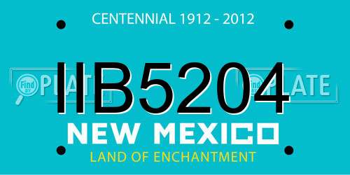 IIB5204 New Mexico License Plate