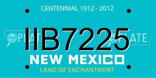IIB7225 New Mexico License Plate